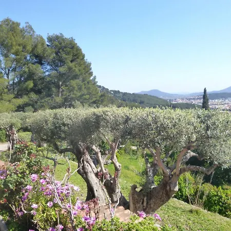 Les Oliviers By Interhome * La Valette-du-Var